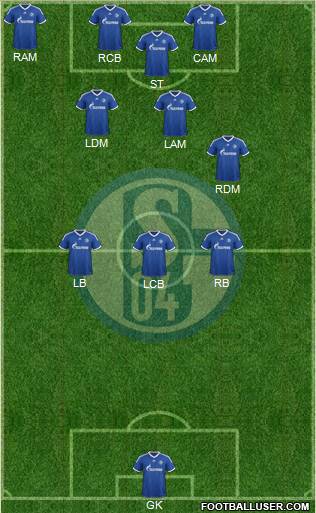 FC Schalke 04 Formation 2013