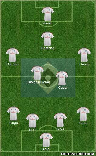 Hamburger SV Formation 2013