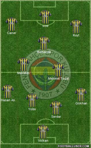 Fenerbahçe SK Formation 2013