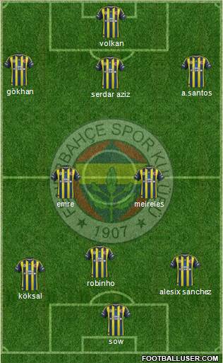 Fenerbahçe SK Formation 2013