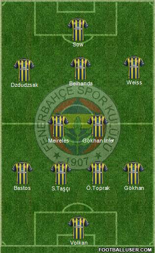 Fenerbahçe SK Formation 2013