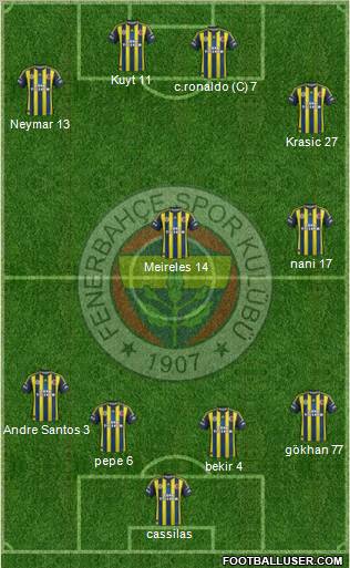 Fenerbahçe SK Formation 2013