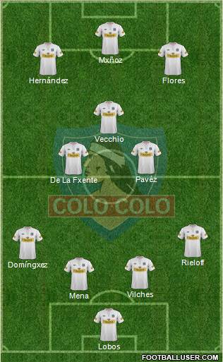 CSD Colo Colo Formation 2013