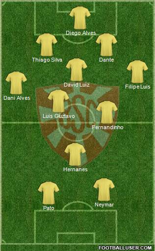 Botafogo SC Formation 2013