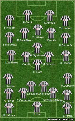 Newcastle United Formation 2013