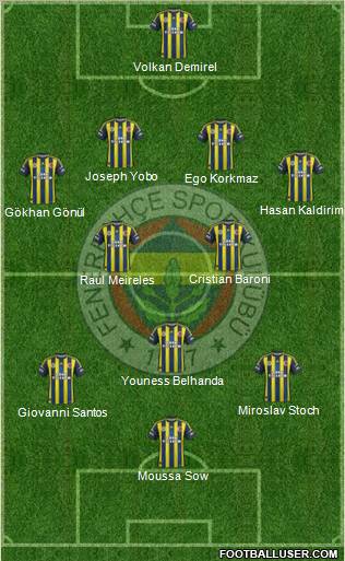 Fenerbahçe SK Formation 2013