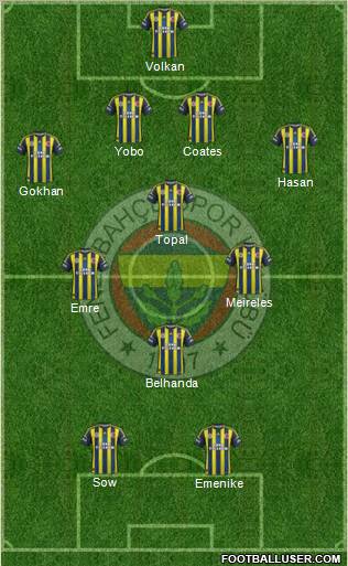 Fenerbahçe SK Formation 2013