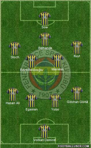 Fenerbahçe SK Formation 2013
