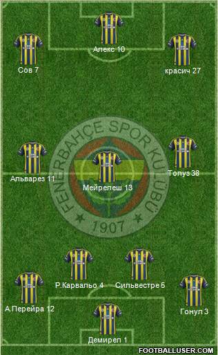 Fenerbahçe SK Formation 2013