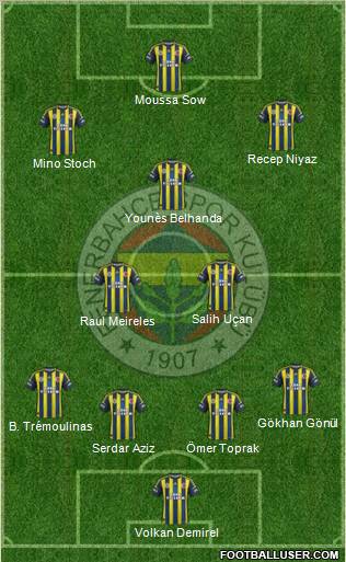 Fenerbahçe SK Formation 2013