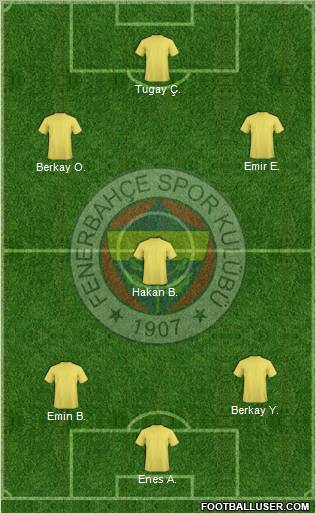 Fenerbahçe SK Formation 2013