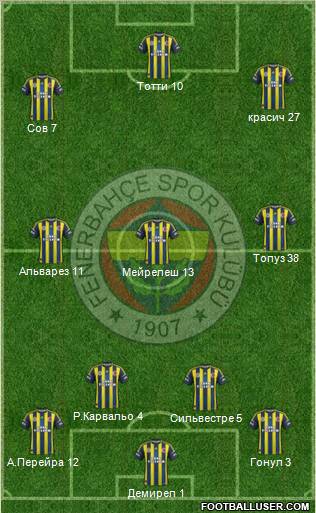 Fenerbahçe SK Formation 2013