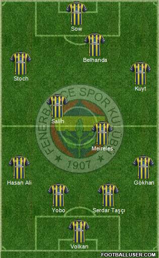 Fenerbahçe SK Formation 2013