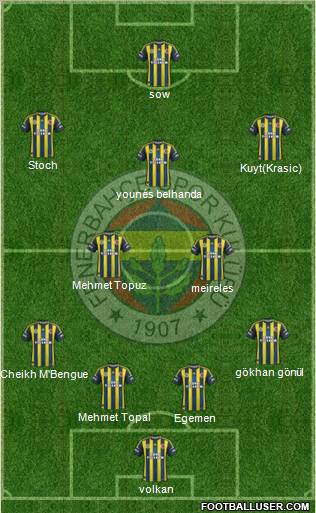 Fenerbahçe SK Formation 2013