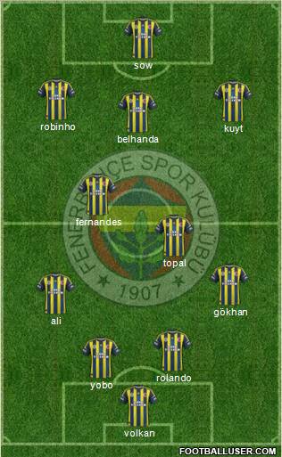 Fenerbahçe SK Formation 2013