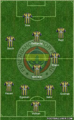 Fenerbahçe SK Formation 2013