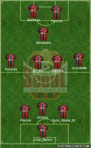 FC Seoul Formation 2013