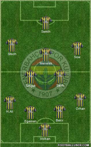 Fenerbahçe SK Formation 2013