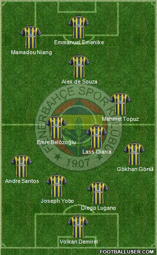 Fenerbahçe SK Formation 2013