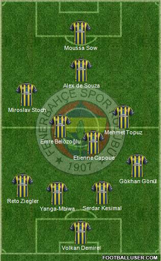 Fenerbahçe SK Formation 2013