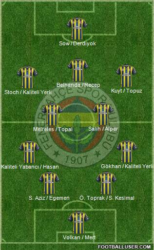 Fenerbahçe SK Formation 2013