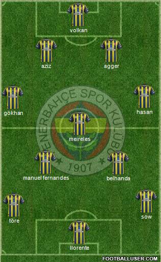 Fenerbahçe SK Formation 2013