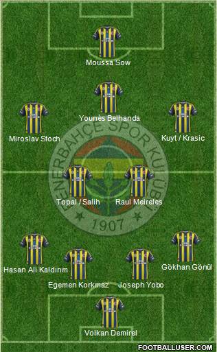 Fenerbahçe SK Formation 2013