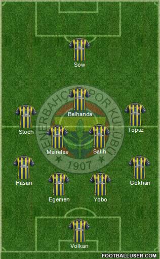 Fenerbahçe SK Formation 2013