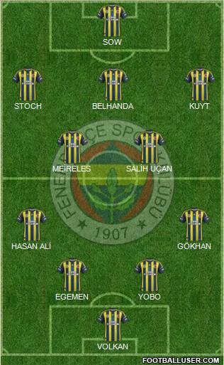 Fenerbahçe SK Formation 2013