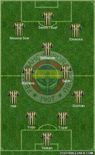 Fenerbahçe SK Formation 2013