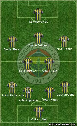 Fenerbahçe SK Formation 2013