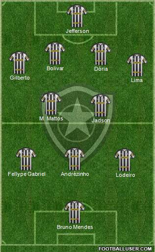 Botafogo FR Formation 2013