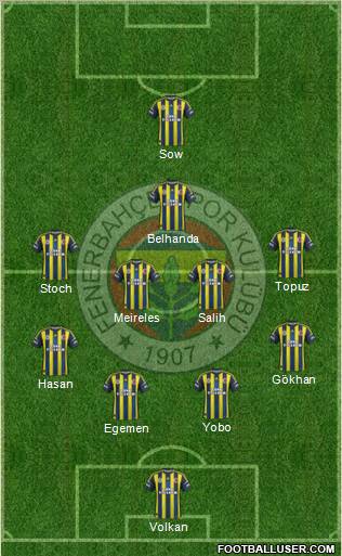 Fenerbahçe SK Formation 2013