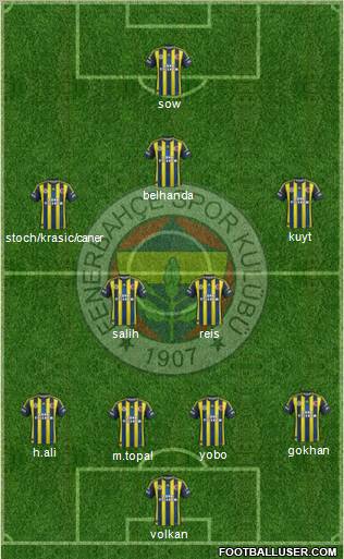 Fenerbahçe SK Formation 2013
