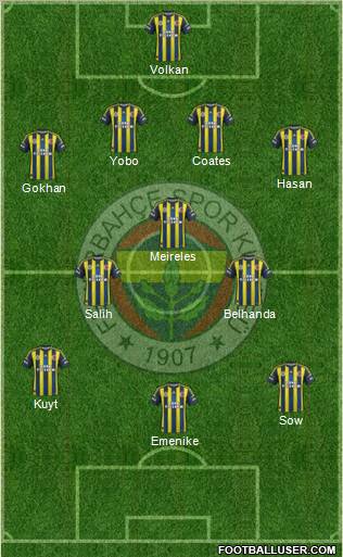 Fenerbahçe SK Formation 2013