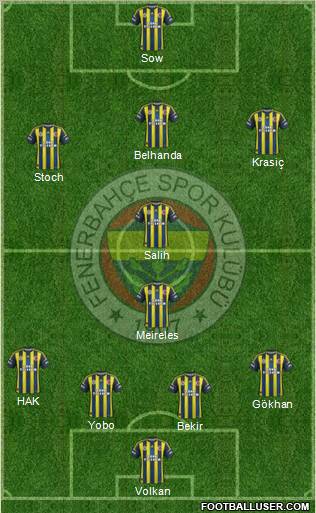 Fenerbahçe SK Formation 2013