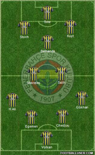 Fenerbahçe SK Formation 2013