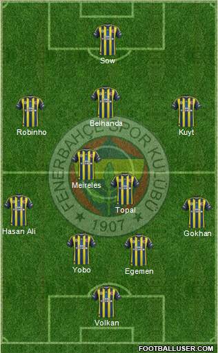 Fenerbahçe SK Formation 2013