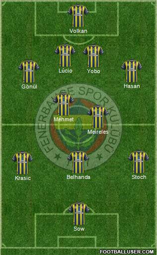 Fenerbahçe SK Formation 2013