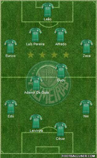 SE Palmeiras Formation 2013