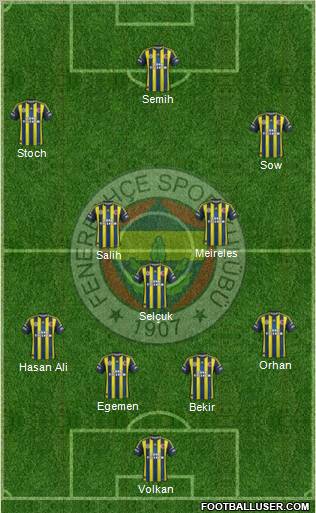 Fenerbahçe SK Formation 2013