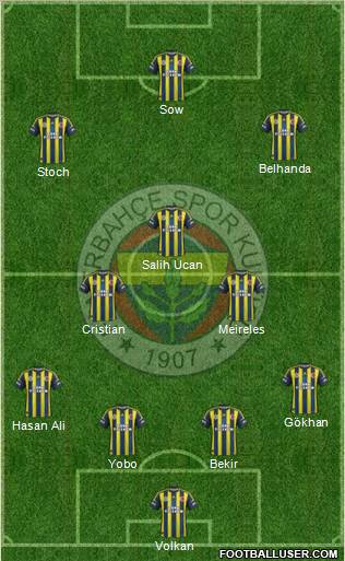 Fenerbahçe SK Formation 2013