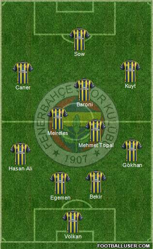 Fenerbahçe SK Formation 2013