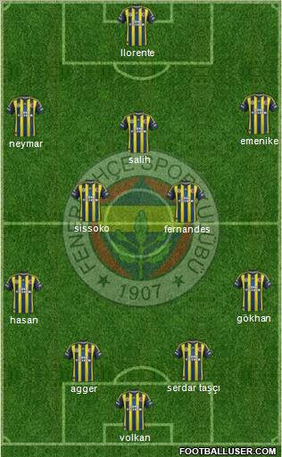 Fenerbahçe SK Formation 2013
