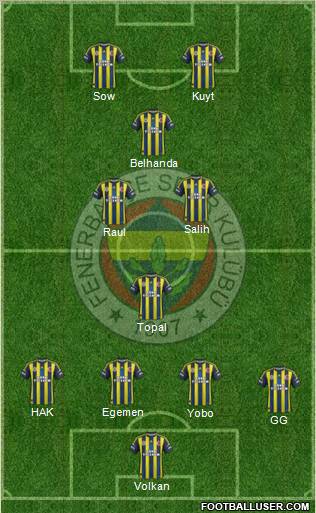 Fenerbahçe SK Formation 2013