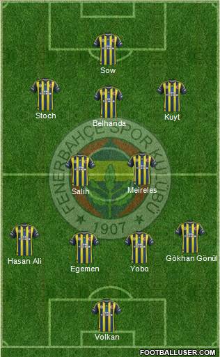 Fenerbahçe SK Formation 2013