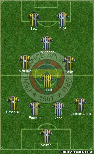 Fenerbahçe SK Formation 2013