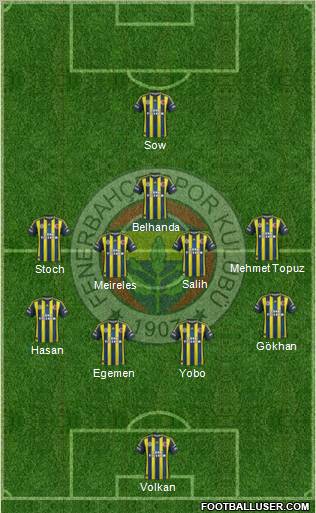Fenerbahçe SK Formation 2013
