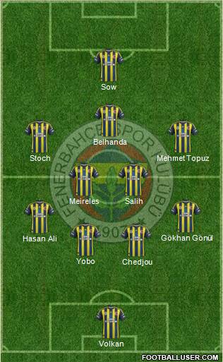 Fenerbahçe SK Formation 2013