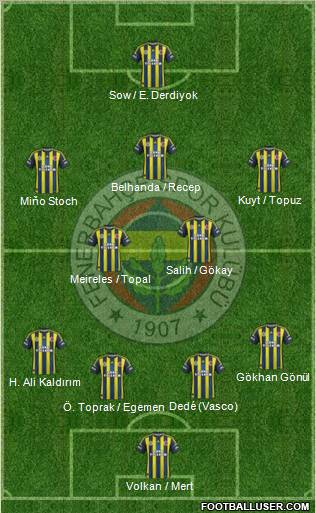 Fenerbahçe SK Formation 2013